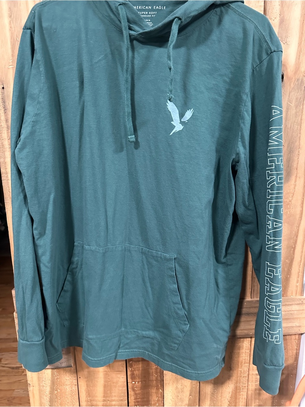 American Eagle Outfitters Teal Hoodie with Eagle Logo size m